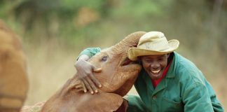 orphelinat éléphants