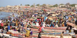 Pêche au Sénégal - Crédit photo Thierry Barbaut