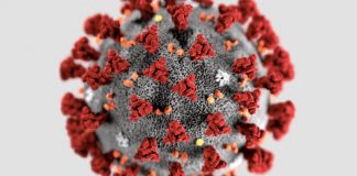 Virus COVID 19 - épidémie coronavirus